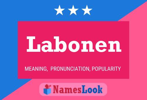 Poster del nome Labonen