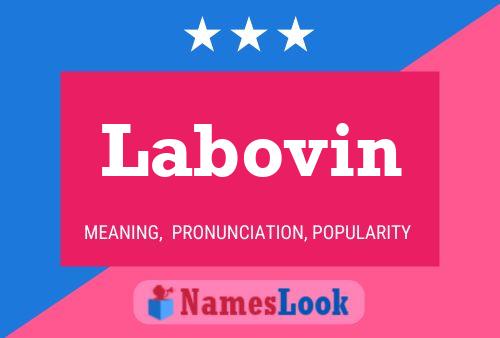 Poster del nome Labovin