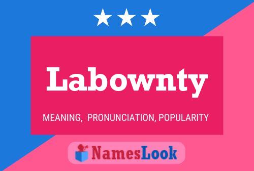 Poster del nome Labownty