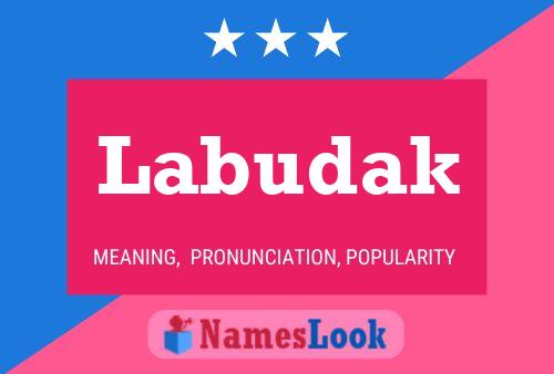 Poster del nome Labudak