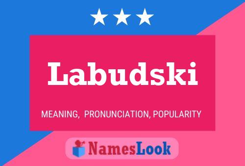 Poster del nome Labudski