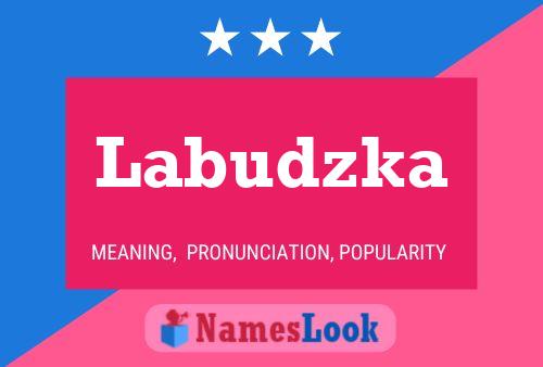 Poster del nome Labudzka