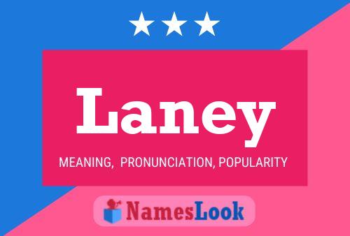 Poster del nome Laney