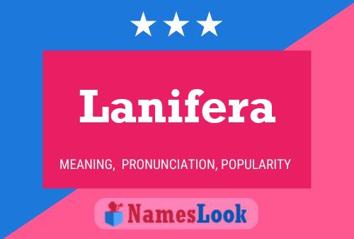 Poster del nome Lanifera