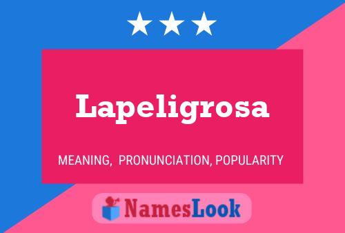 Poster del nome Lapeligrosa