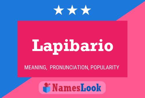 Poster del nome Lapibario