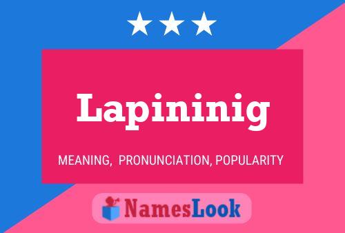 Poster del nome Lapininig