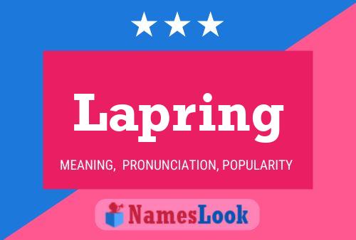 Poster del nome Lapring