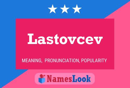 Poster del nome Lastovcev