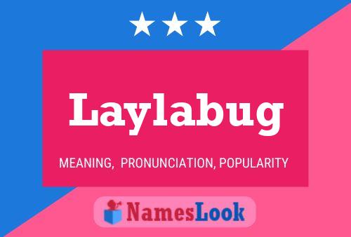 Poster del nome Laylabug