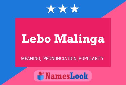 Poster del nome Lebo Malinga