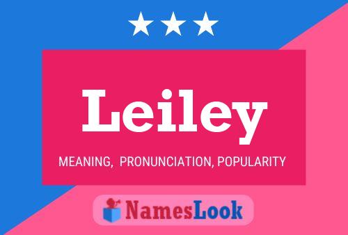 Poster del nome Leiley