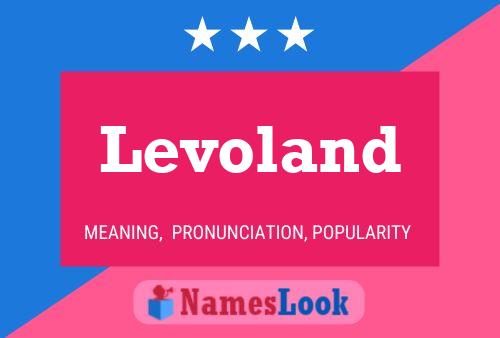 Poster del nome Levoland