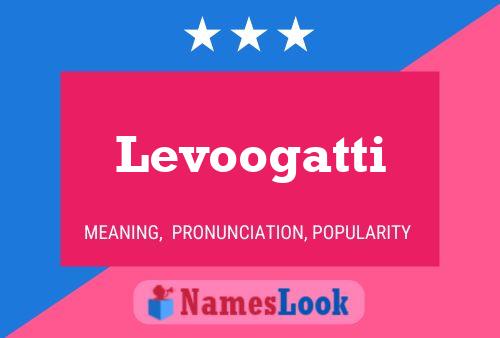 Poster del nome Levoogatti