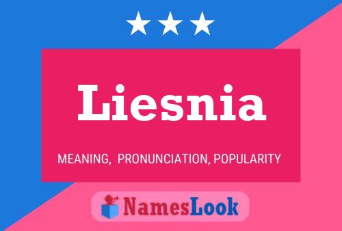 Poster del nome Liesnia