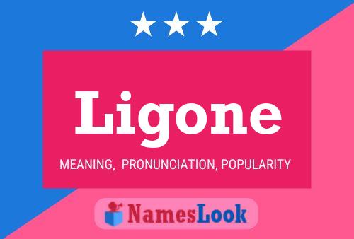 Poster del nome Ligone