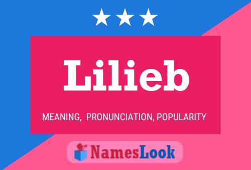 Poster del nome Lilieb