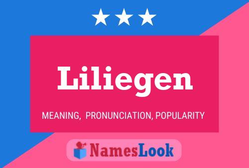 Poster del nome Liliegen