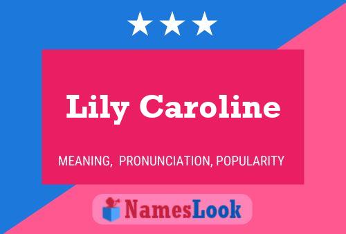 Poster del nome Lily Caroline