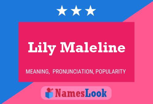 Poster del nome Lily Maleline