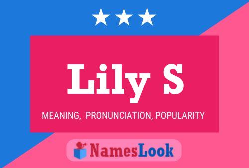 Poster del nome Lily S