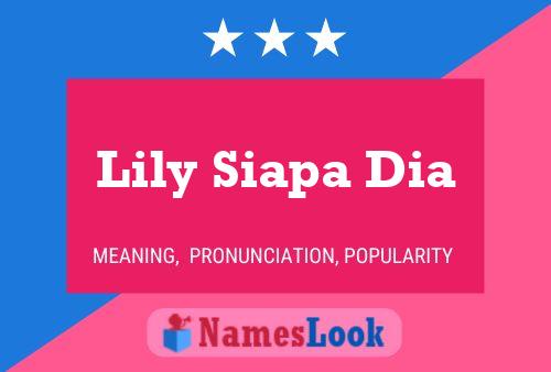 Poster del nome Lily Siapa Dia