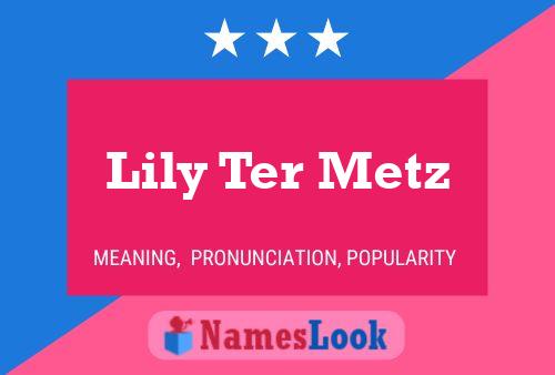 Poster del nome Lily Ter Metz