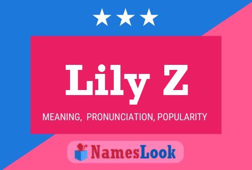 Poster del nome Lily Z