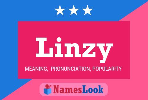 Poster del nome Linzy