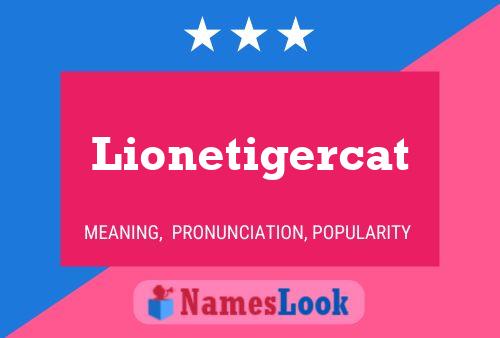 Poster del nome Lionetigercat