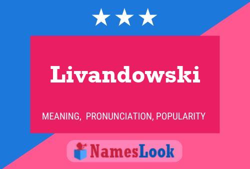 Poster del nome Livandowski