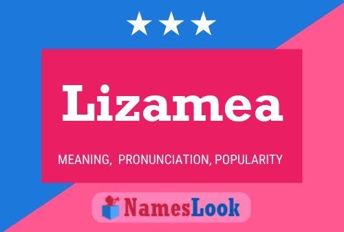 Poster del nome Lizamea