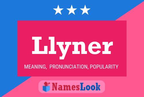 Poster del nome Llyner