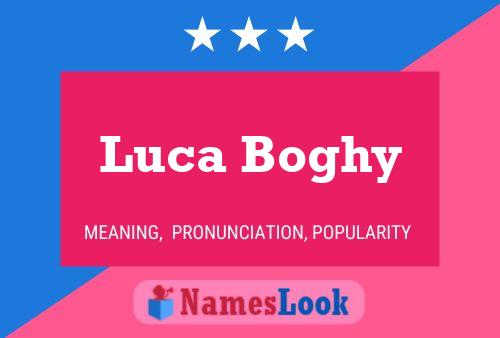 Poster del nome Luca Boghy