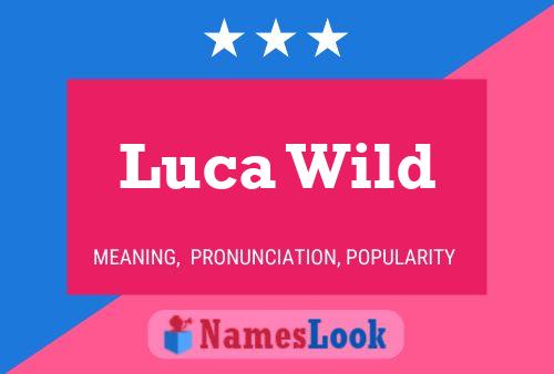 Poster del nome Luca Wild