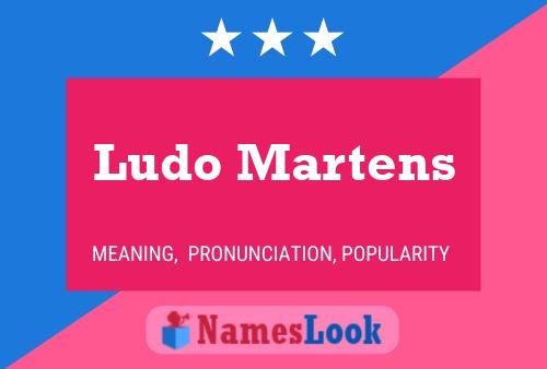 Poster del nome Ludo Martens