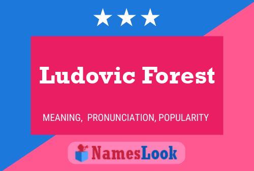 Poster del nome Ludovic Forest