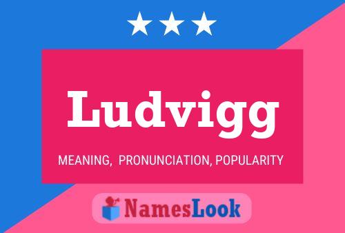 Poster del nome Ludvigg