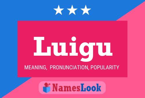 Poster del nome Luigu