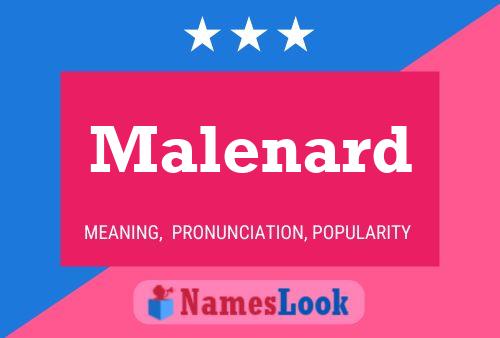 Poster del nome Malenard