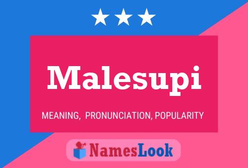 Poster del nome Malesupi