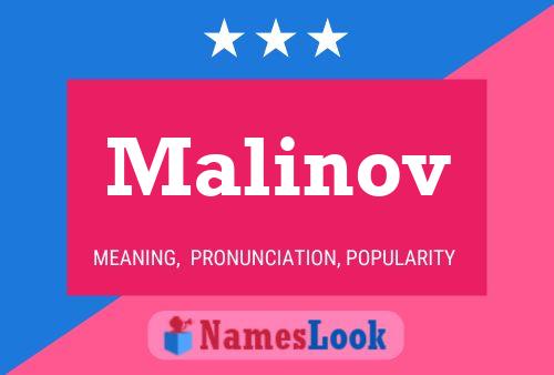 Poster del nome Malinov