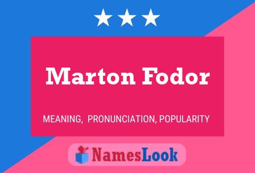 Poster del nome Marton Fodor