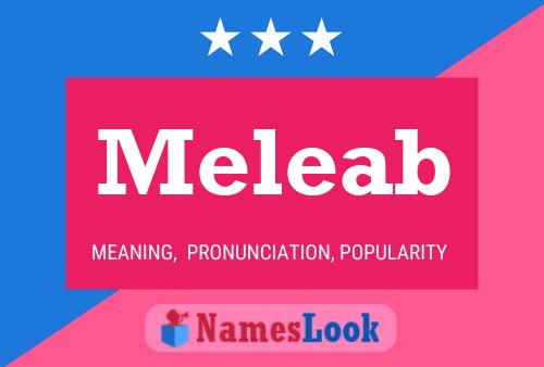 Poster del nome Meleab