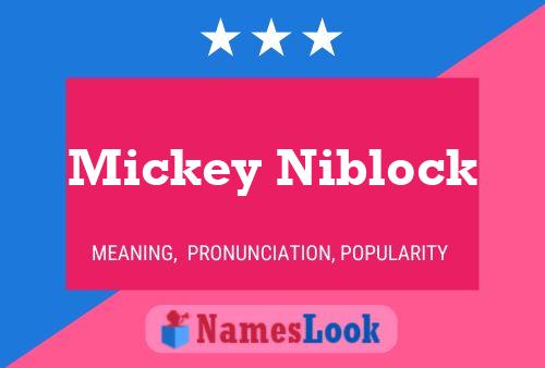 Poster del nome Mickey Niblock