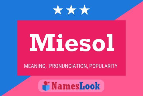 Poster del nome Miesol