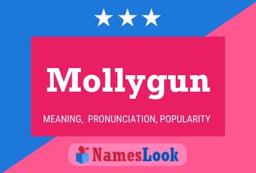 Poster del nome Mollygun