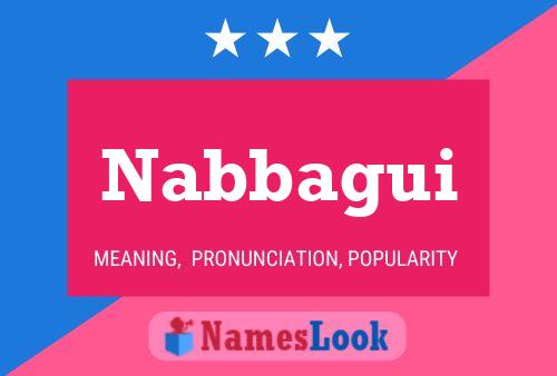 Poster del nome Nabbagui