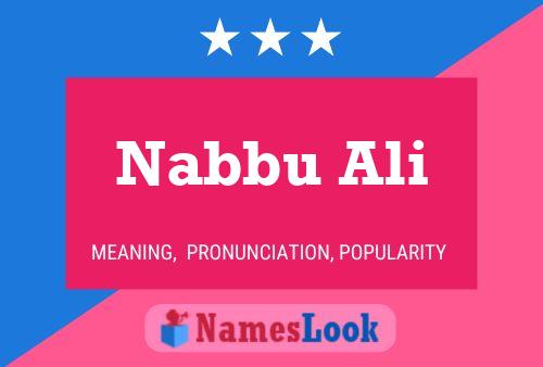 Poster del nome Nabbu Ali