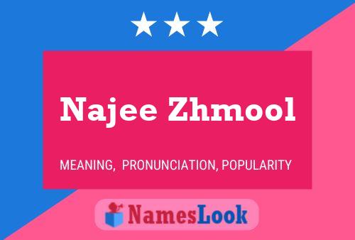 Poster del nome Najee Zhmool